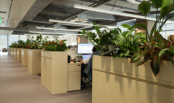 2121非凡·(中国游)体育官方网站